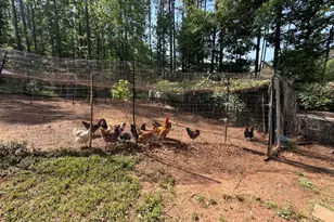 164 Sims Rd, Hogansville, GA 30230 - Photo 38