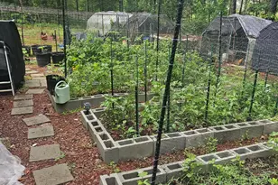 164 Sims Rd, Hogansville, GA 30230 - Photo 48