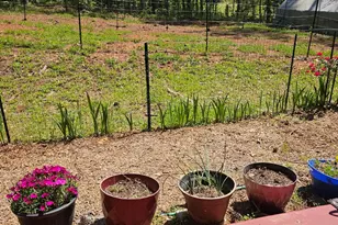 164 Sims Rd, Hogansville, GA 30230 - Photo 44