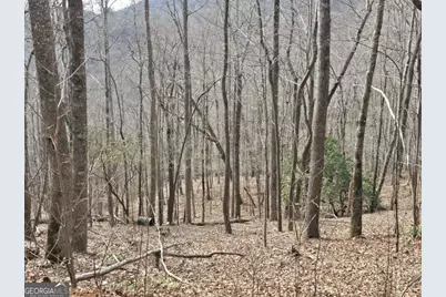 13.75 Ac Caesar Gap Road, Hiawassee, GA 30546 - Photo 2
