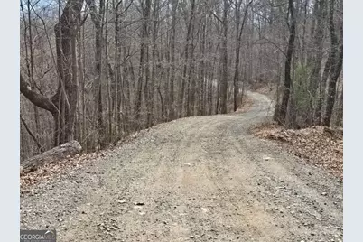 13.75 Ac Caesar Gap Road, Hiawassee, GA 30546 - Photo 8