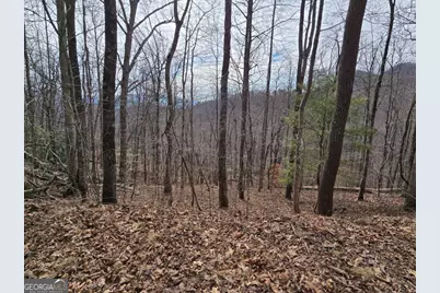 13.75 Ac Caesar Gap Road, Hiawassee, GA 30546 - Photo 4