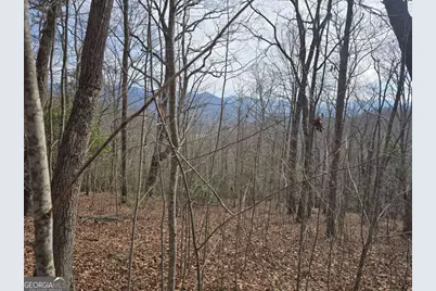 13.75 Ac Caesar Gap Road, Hiawassee, GA 30546 - Photo 6