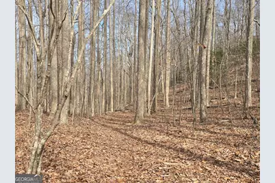 13.75 Ac Caesar Gap Road, Hiawassee, GA 30546 - Photo 1