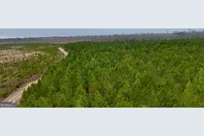 0 Highway 121, Glennville, GA 30427 - Photo 8