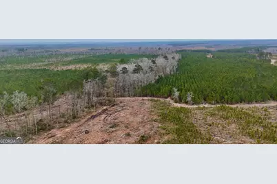 0 Highway 121, Glennville, GA 30427 - Photo 12