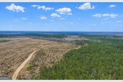 0 Highway 121, Glennville, GA 30427 - Photo 4