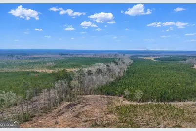 0 Highway 121, Glennville, GA 30427 - Photo 1