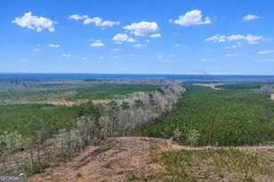 0 Hwy 121, Glennville, GA 30427 - Photo 1