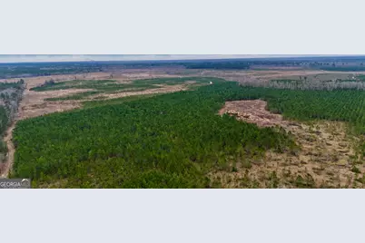 0 Highway 121, Glennville, GA 30427 - Photo 6