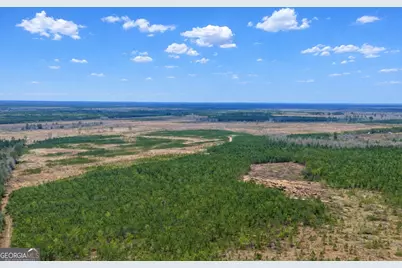 0 Highway 121, Glennville, GA 30427 - Photo 2