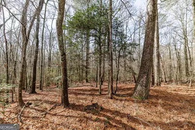 2000 Bullock Trail, Loganville, GA 30052 - Photo 34