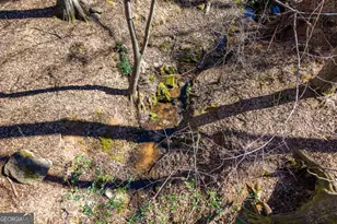 1121 Simonton Dr, Watkinsville, GA 30677 - Photo 64