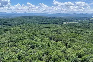 885 Tomahawk Trail, Blairsville, GA 30512 - Photo 88