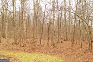 436 Tommy Irvin Rd, Mount Airy, GA 30563 - Photo 26