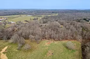 436 Tommy Irvin Rd, Mount Airy, GA 30563 - Photo 56