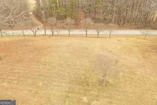 436 Tommy Irvin Rd, Mount Airy, GA 30563 - Photo 12