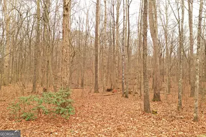 436 Tommy Irvin Road, Mount Airy, GA 30563 - Photo 18