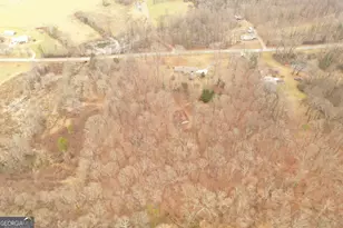 436 Tommy Irvin Rd, Mount Airy, GA 30563 - Photo 18