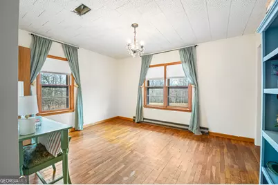 436 Tommy Irvin Road, Mount Airy, GA 30563 - Photo 24