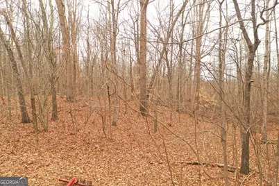 436 Tommy Irvin Road, Mount Airy, GA 30563 - Photo 24