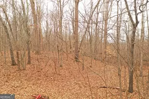 436 Tommy Irvin Rd, Mount Airy, GA 30563 - Photo 24