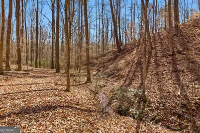 0 Davis Road, Eastanollee, GA 30538 - Photo 6