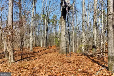 0 Davis Road, Eastanollee, GA 30538 - Photo 2