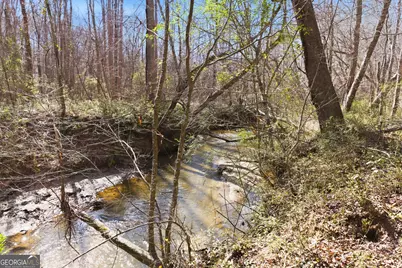 0 Davis Road, Eastanollee, GA 30538 - Photo 8