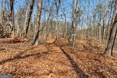 0 Davis Road, Eastanollee, GA 30538 - Photo 2