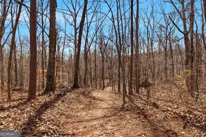 0 Davis Road, Eastanollee, GA 30538 - Photo 22