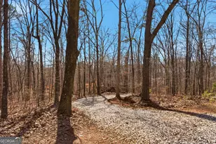0 Davis Rd, Eastanollee, GA 30538 - Photo 1