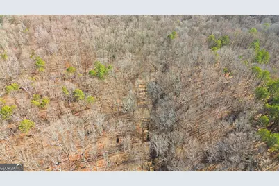 0 Davis Road, Eastanollee, GA 30538 - Photo 16
