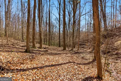 0 Davis Road, Eastanollee, GA 30538 - Photo 22