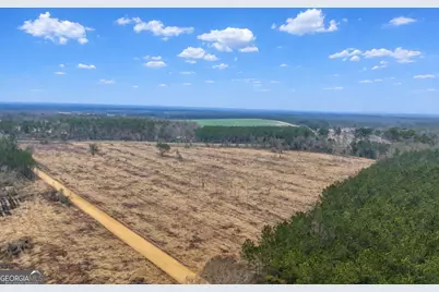 0 Highway 144, Glennville, GA 30427 - Photo 2