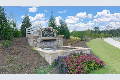 829 Trillium Drive, Locust Grove, GA 30248 - Photo 6