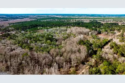 0 Riggs Mill La Riggs Mill Lane, Statesboro, GA 30458 - Photo 12