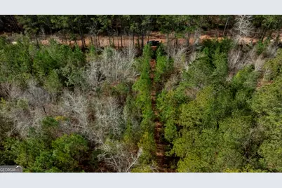 0 Riggs Mill La Riggs Mill Lane, Statesboro, GA 30458 - Photo 4