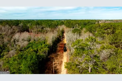 0 Riggs Mill La Riggs Mill Lane, Statesboro, GA 30458 - Photo 8