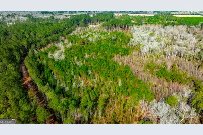 0 Riggs Mill La Riggs Mill Lane, Statesboro, GA 30458 - Photo 6