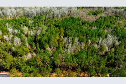 0 Riggs Mill La Riggs Mill Lane, Statesboro, GA 30458 - Photo 2