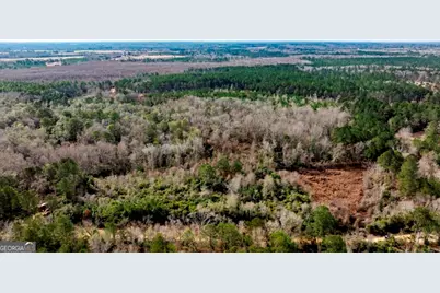 0 Riggs Mill La Riggs Mill Lane, Statesboro, GA 30458 - Photo 10