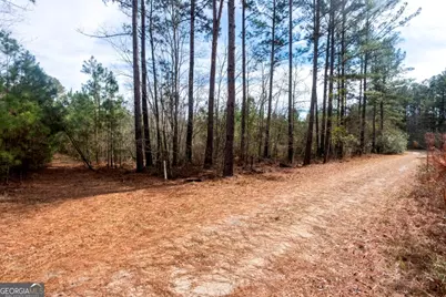 0 Riggs Mill La Riggs Mill Lane, Statesboro, GA 30458 - Photo 18