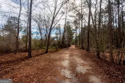 0 Riggs Mill La Riggs Mill Lane, Statesboro, GA 30458 - Photo 26