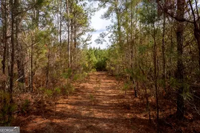 0 Riggs Mill La Riggs Mill Lane, Statesboro, GA 30458 - Photo 16