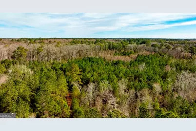 0 Riggs Mill La Riggs Mill Lane, Statesboro, GA 30458 - Photo 24