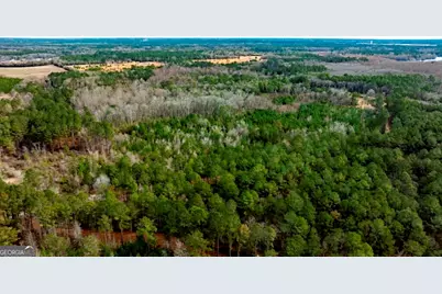 0 Riggs Mill La Riggs Mill Lane, Statesboro, GA 30458 - Photo 22