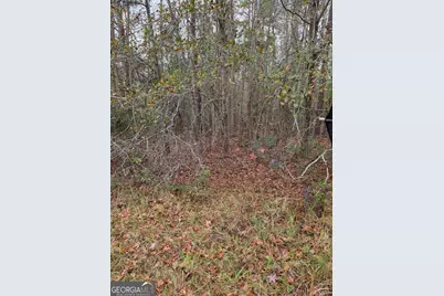 861 Brinson Road, Brooklet, GA 30415 - Photo 2