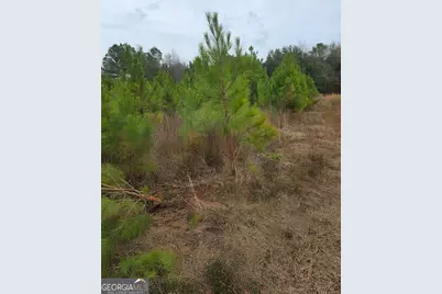 861 Brinson Road, Brooklet, GA 30415 - Photo 4