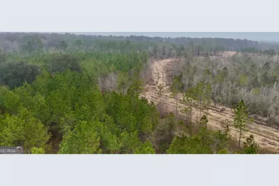 0 Edith Tillman Road, Glennville, GA 30427 - Photo 6